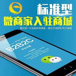 浙江洛妍科技 引領軟件開發新篇章